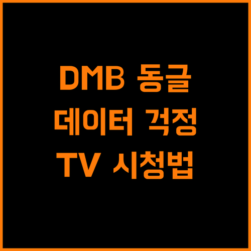 DMB 모바일 TV 동글 데이터 없이 TV 시청하는 방법