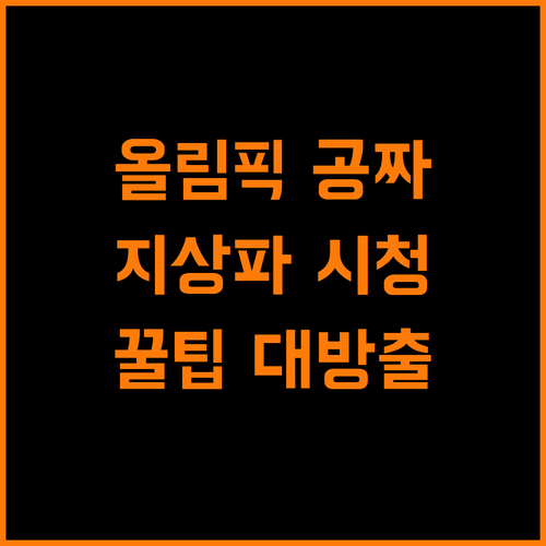무료로 올림픽 보자! 지상파 활용법 공개