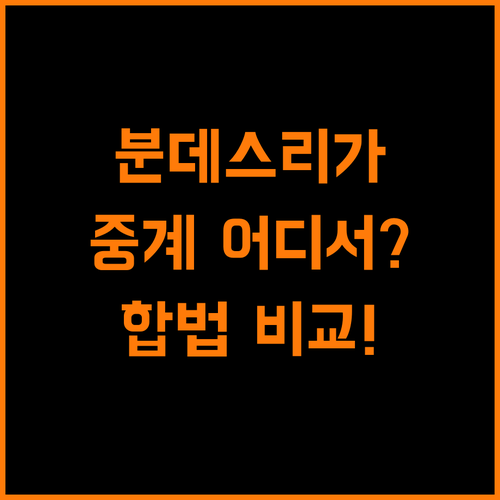 분데스리가, 합법 중계 플랫폼 비교 분석