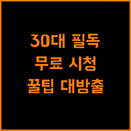 더 이상 헤매지 마세요 30대의 지상파 무료 시청 꿀팁