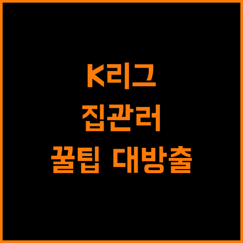 집관러 필독 K리그 실시간 중계 채널 완벽 비교