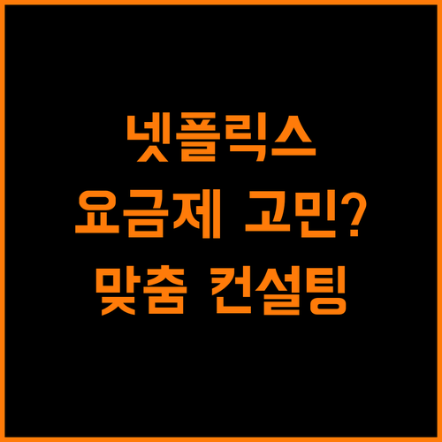 넷플릭스 요금제, 나만을 위한 맞춤 컨설팅