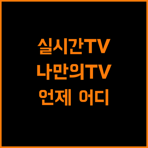 실시간티비 OTT, 언제 어디서나 즐기는 나만의 TV