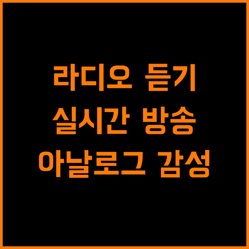 실시간 라디오 방송 듣기, 디지털 시대의 아날로그 감성