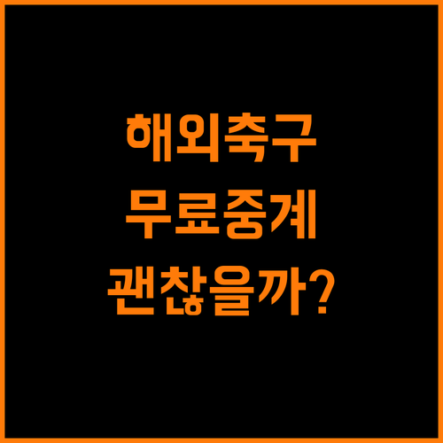 해외축구 무료 중계, 위험한 유혹일까 안전한 선택일까