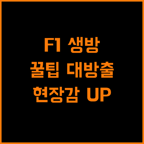 F1 스트리밍, 현장감 200% 높이는 비법 공개