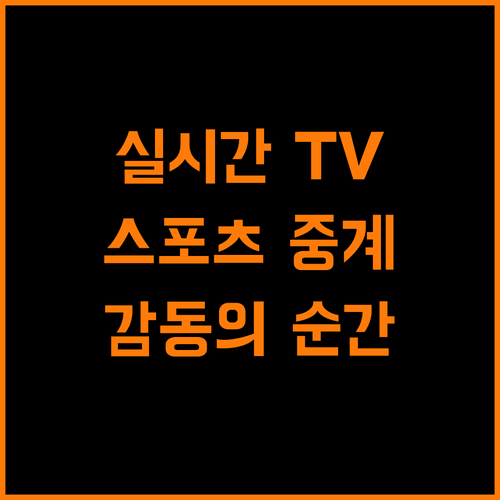 실시간 TV 스포츠, 놓칠 수 없는 감동 순간들