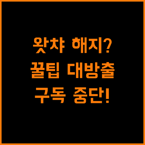 왓챠 구독 해지? 숨겨진 꿀팁 대방출!