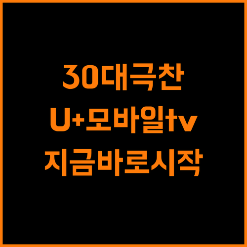 30대가 극찬한 U+모바일tv, 지금 바로 시작하세요