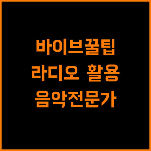 음악 전문가가 추천하는 바이브 라디오 활용법
