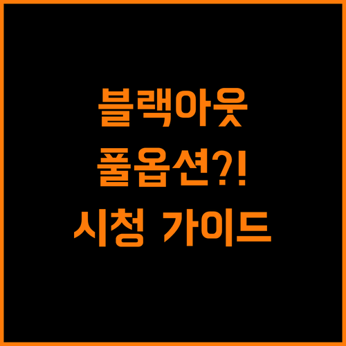 블랙아웃 걱정 없이 MLB.TV 풀옵션 시청 가이드