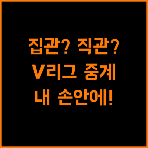 집관? 직관? V리그 중계, 내 손 안에서 즐기자!