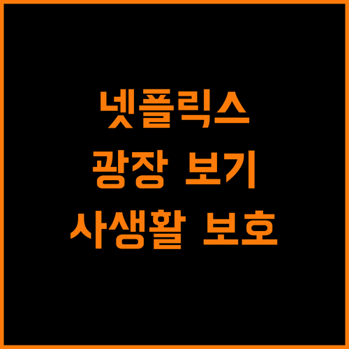 넷플릭스 광장 보기 개인 정보 보호는 필수