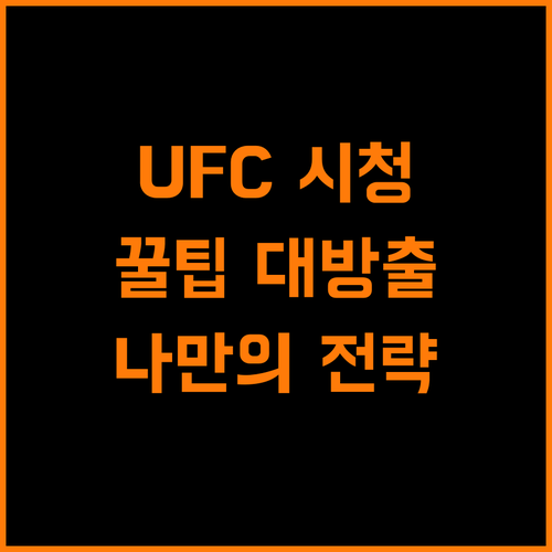 UFC 생생하게 즐기는 방법 나만의 시청 전략은?