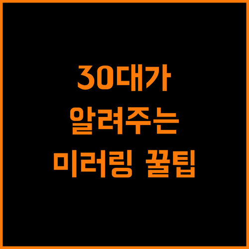 30대가 알려주는 크롬캐스트 미러링 꿀팁