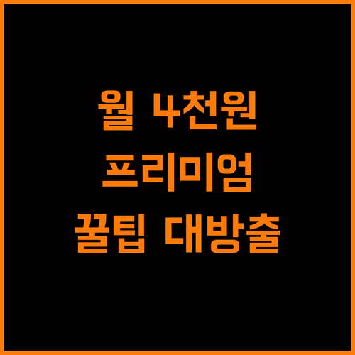 유튜브 프리미엄, 월 4천원으로 즐기기